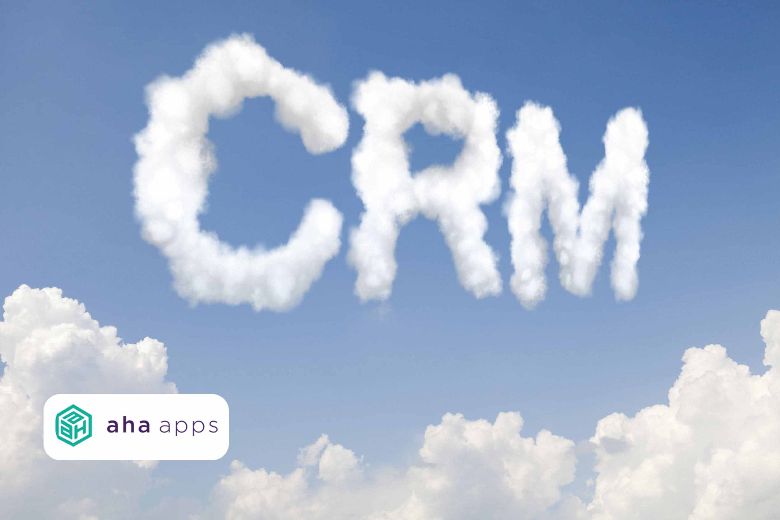 CRM Consulting - AhaApps